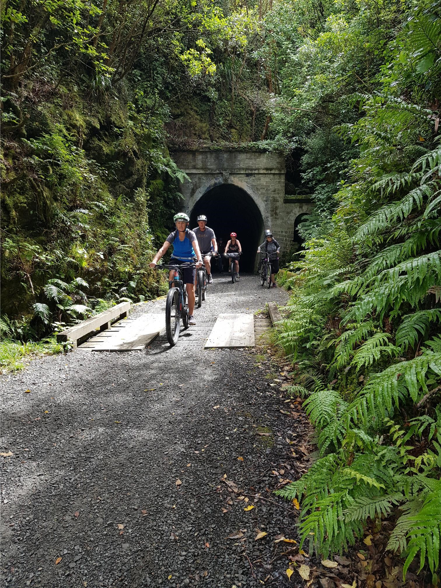 Four people cycling on the Remutaka Rail Trail
