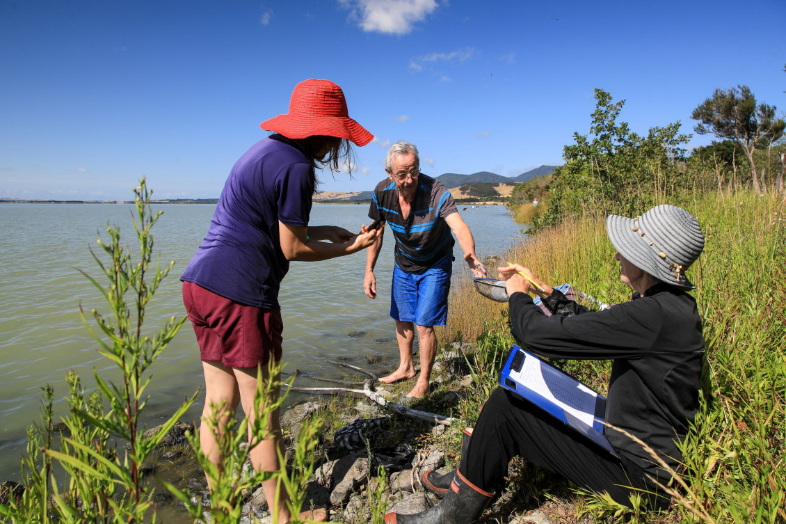 Three citizen scientists stand on the shore of Wairarapa Moana on a sunny day