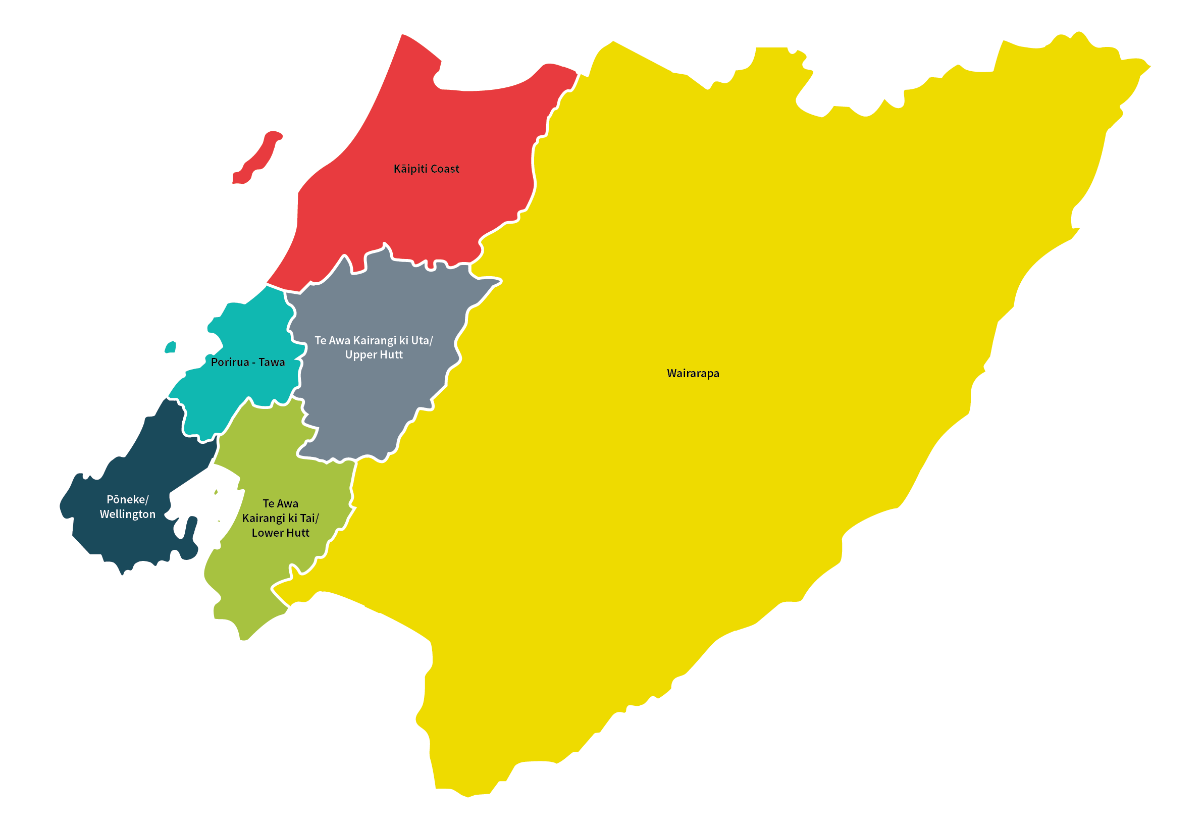 Map of the Wellington Region's constituencies
